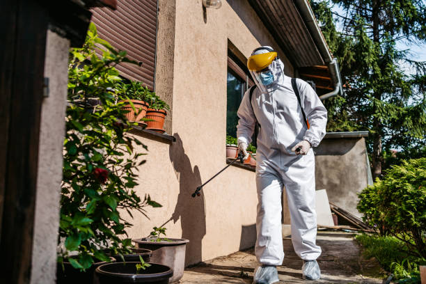 Best Best Pest Control Companies  in Mount Carroll, IL