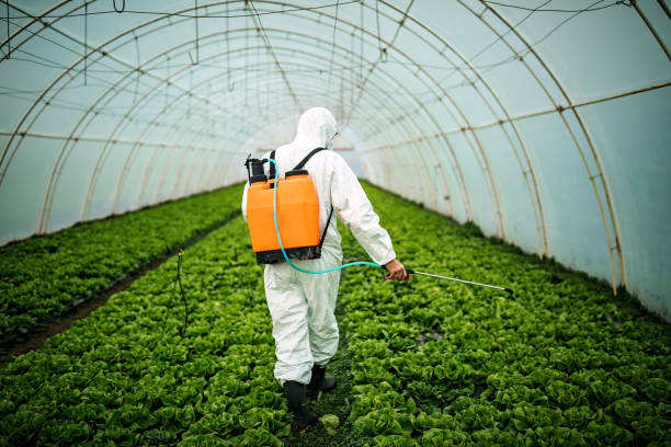 Best Emergency Pest Control  in Mount Carroll, IL