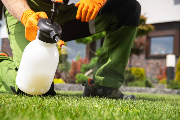 Best Spider Control Near Me  in Mount Carroll, IL
