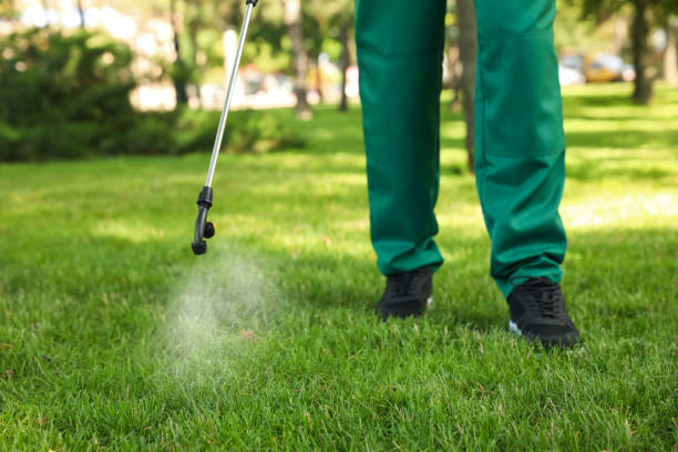Best Best Pest Control Companies  in Mount Carroll, IL