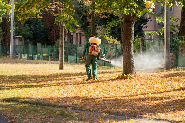 Best Bed Bug Extermination  in Mount Carroll, IL