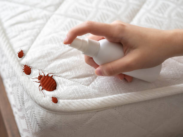 Best Exterminator Services  in Mount Carroll, IL