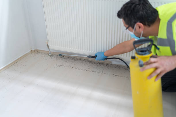 Best Affordable Pest Control Services  in Mount Carroll, IL